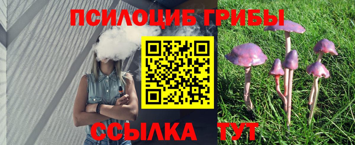Галлюциногенные грибы ЛСД  Псилоцибиновые грибы Cubensis  Подольск  Вход с VPN 