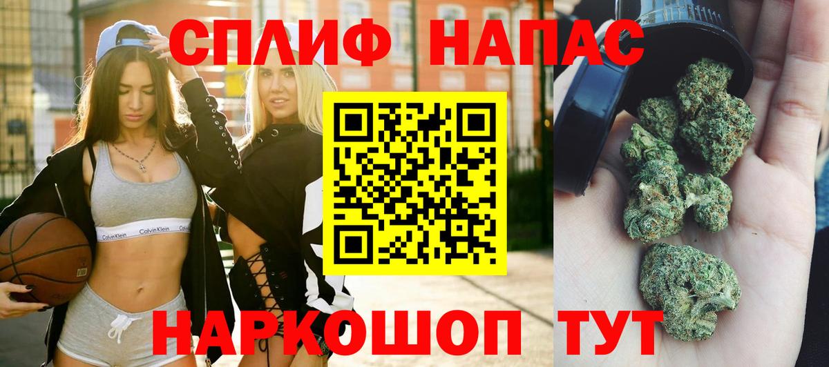 Бошки Шишки ГИДРОПОН Подольск